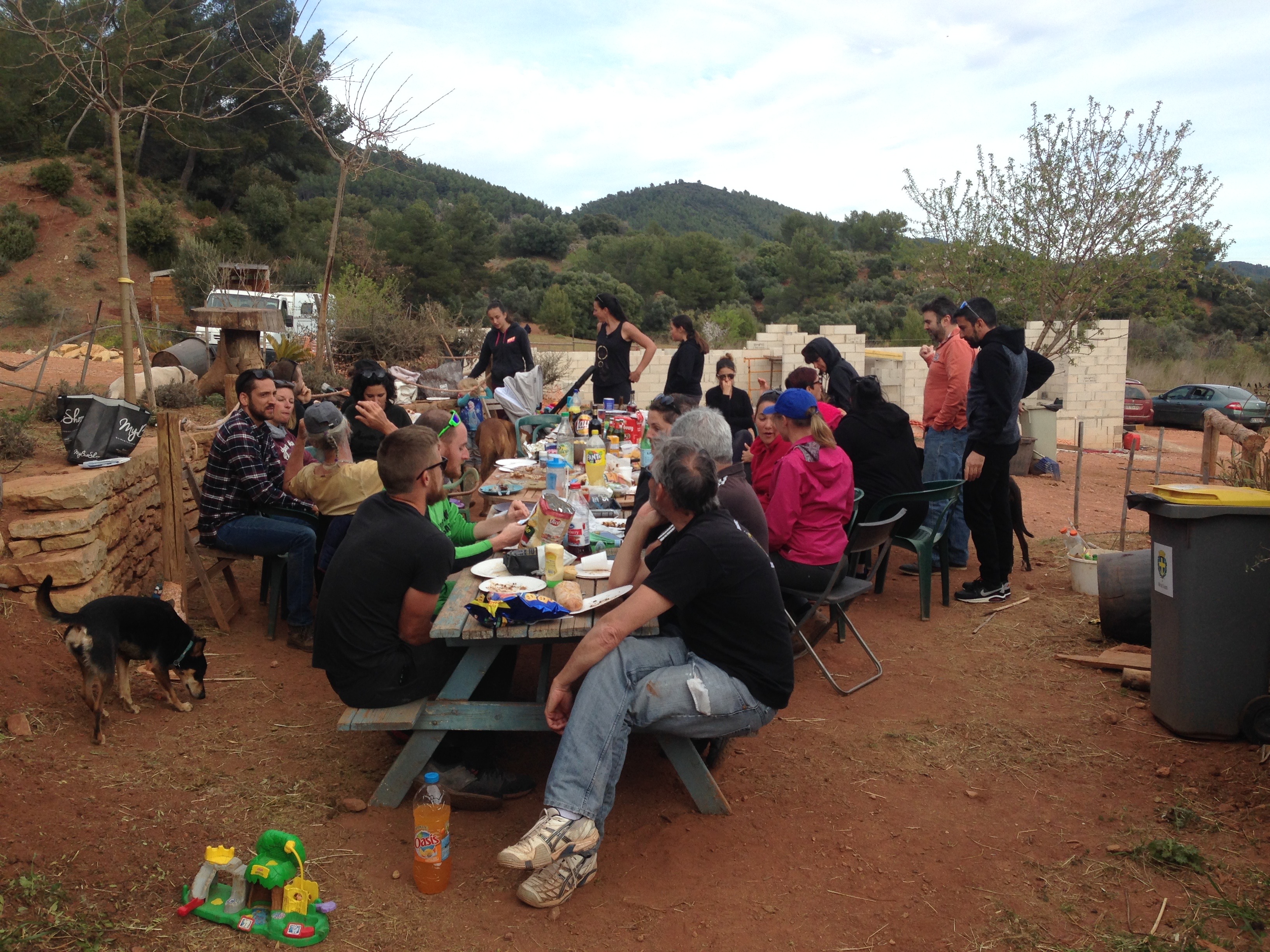 Good bye lunch at the stables.