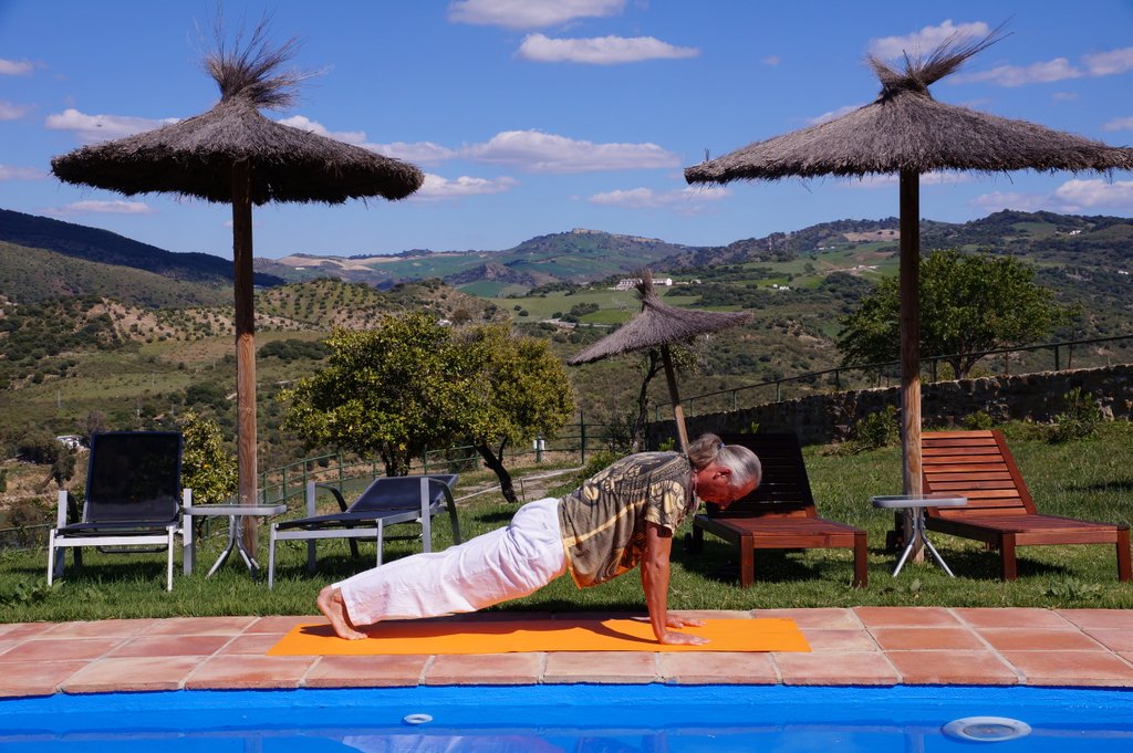 Kumbhakasana (The Plank Pose)