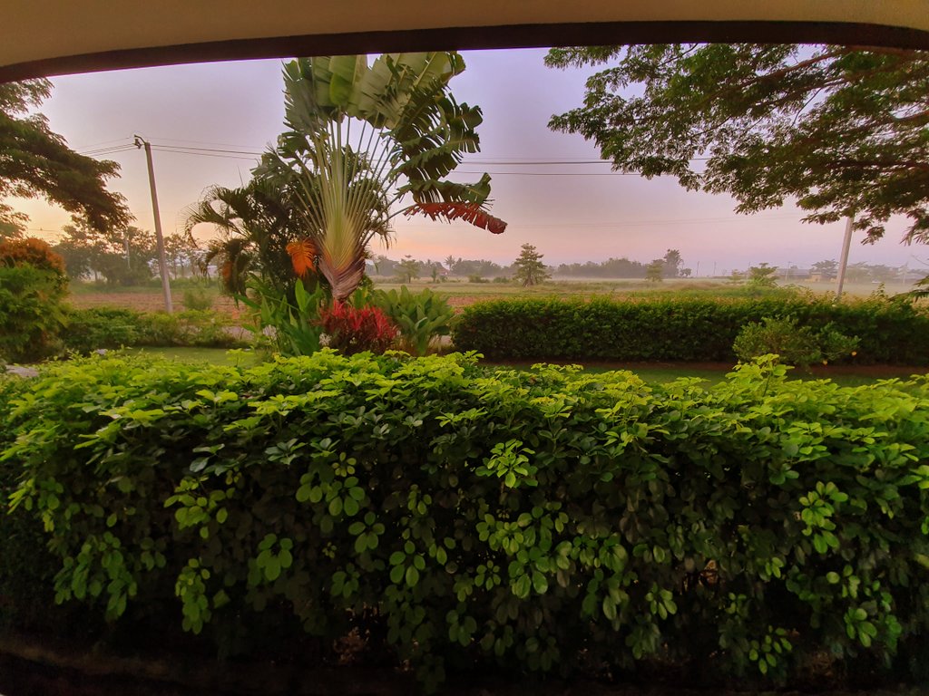 View from the bedroom window on the morning of our first day in Doi Saket