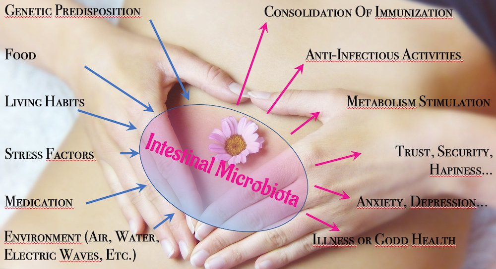 Intestinal Microbiota